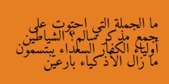 ما الجملة التي احتوت على جمع مذكر سالم؟ الشياطين أولياء الكفار السعداء يبتسمون ما زال الأذكياء بارعين